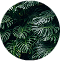 Rea2VjfupCyJlmwqsbVJNTO1y0A.jpg