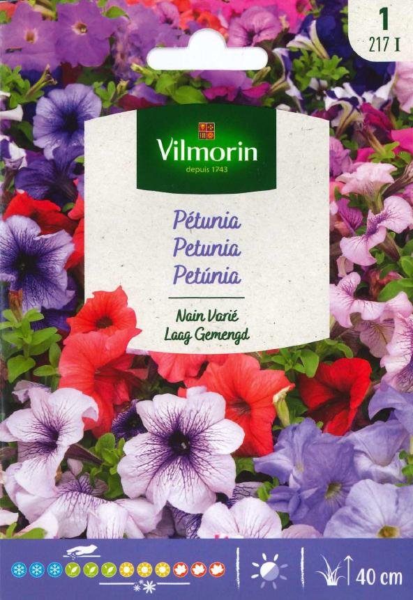 Petunia