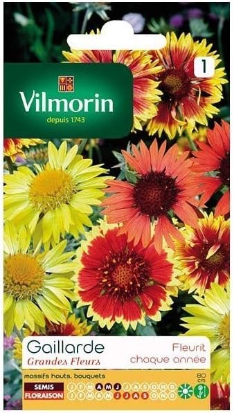 Gaillarde