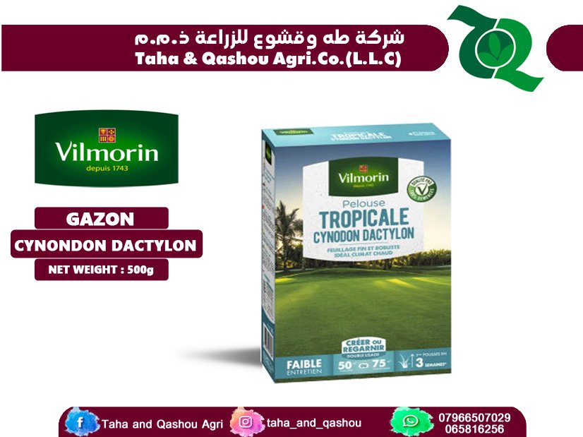 Tropical Lawn Seeds Cynodon Dactylone 500 G