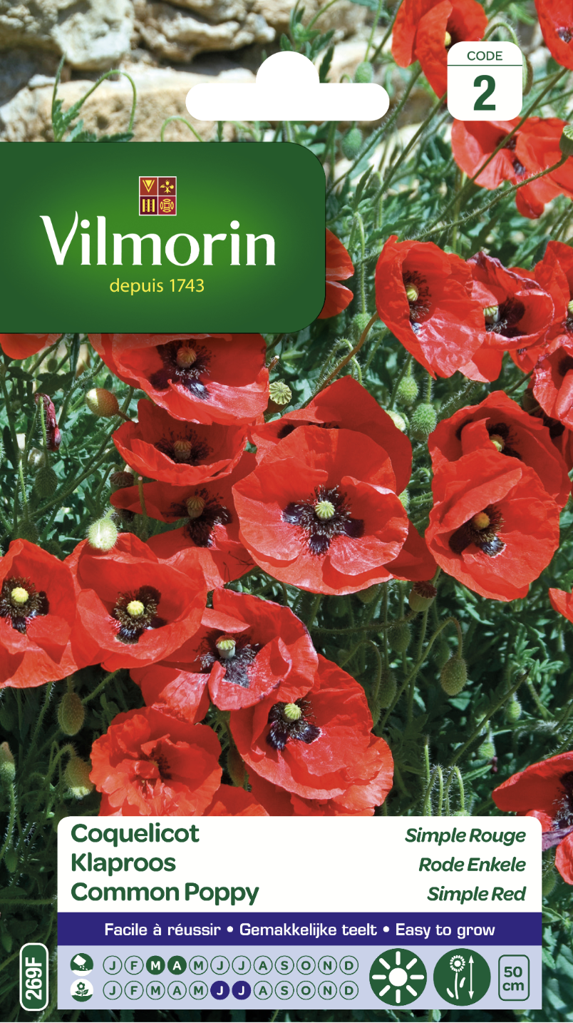 Red Poppy