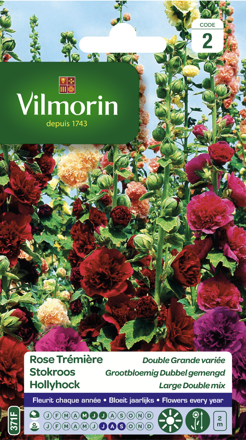 Rose Tremiere double large mix