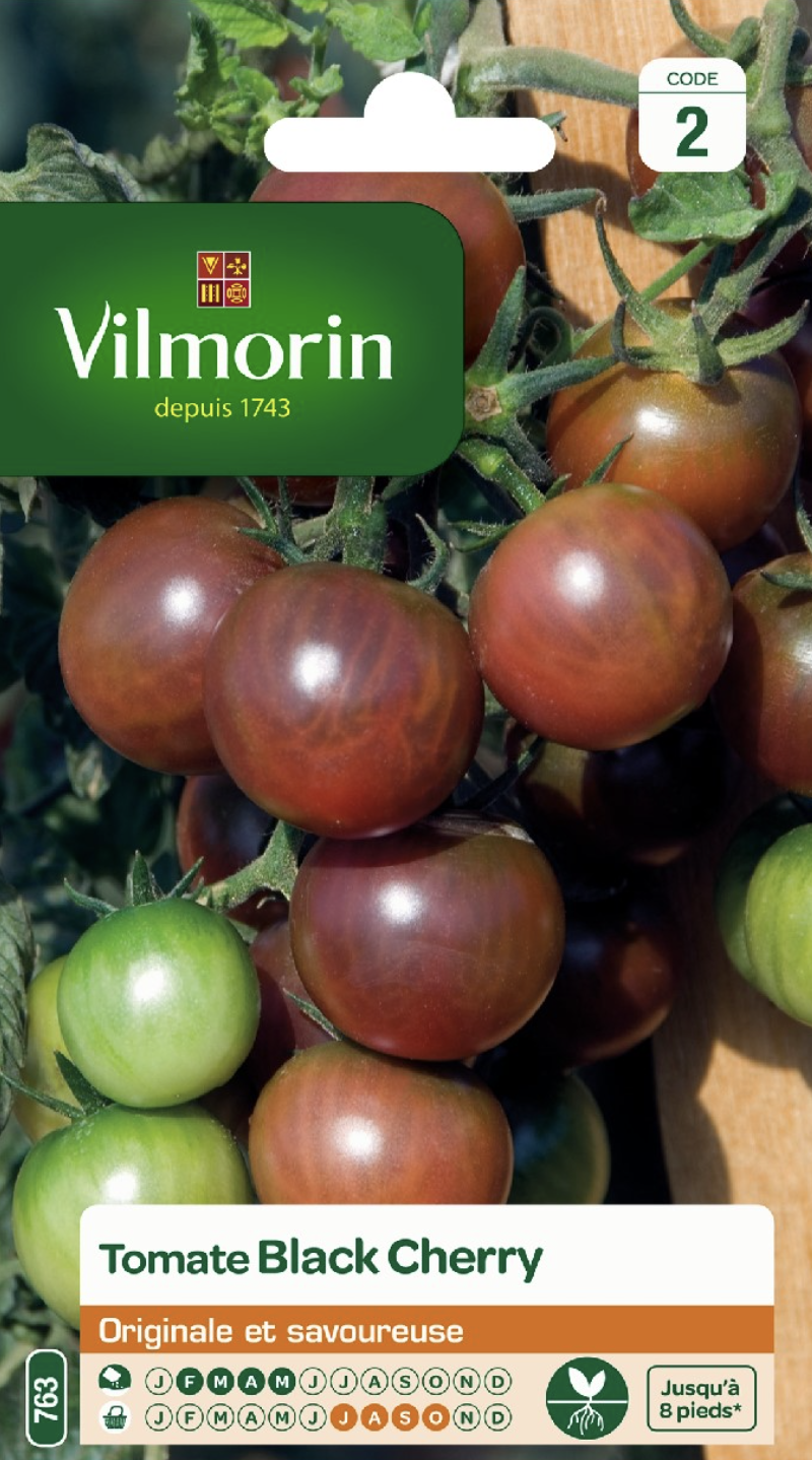 Black Cherry Tomato
