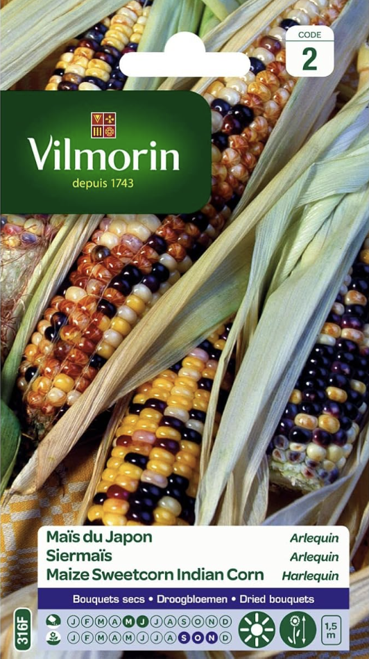 Indian Sweetcorn