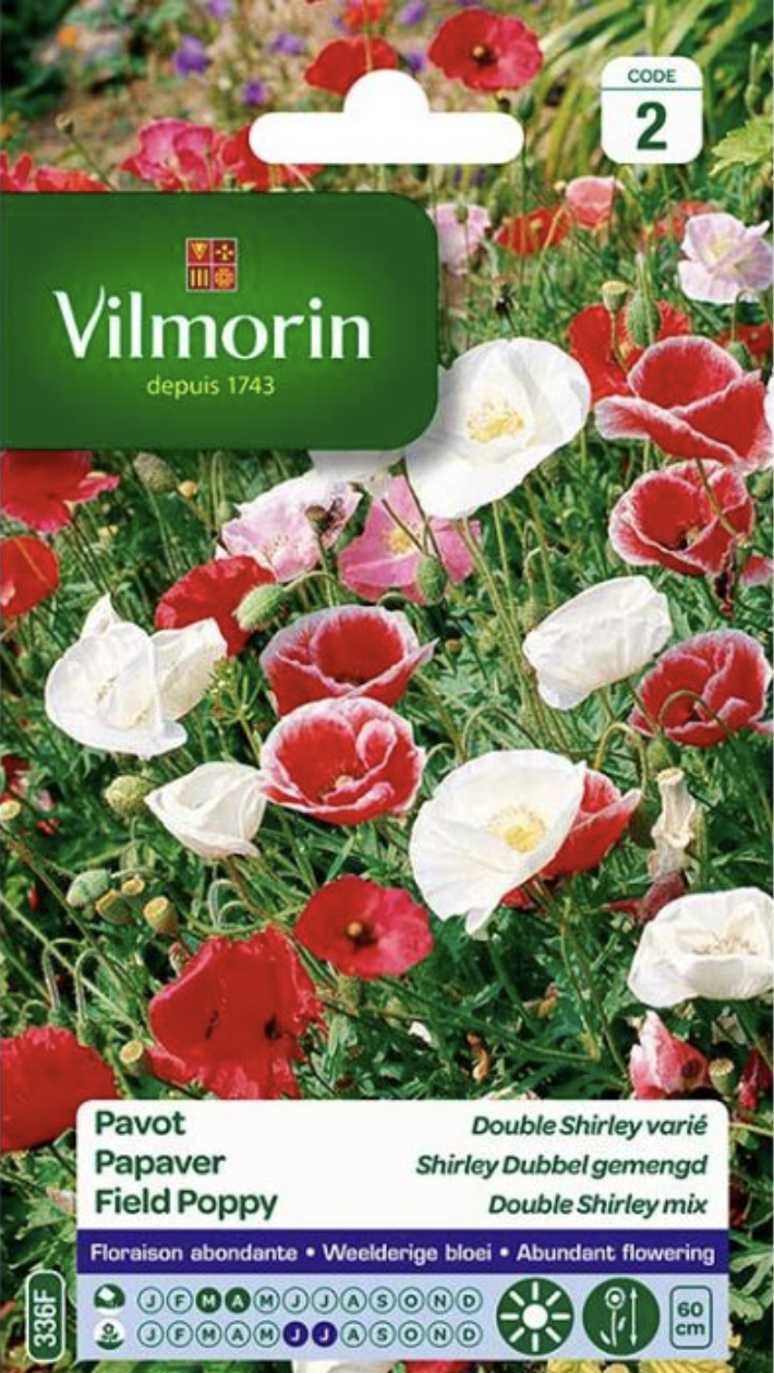 Field Poppy