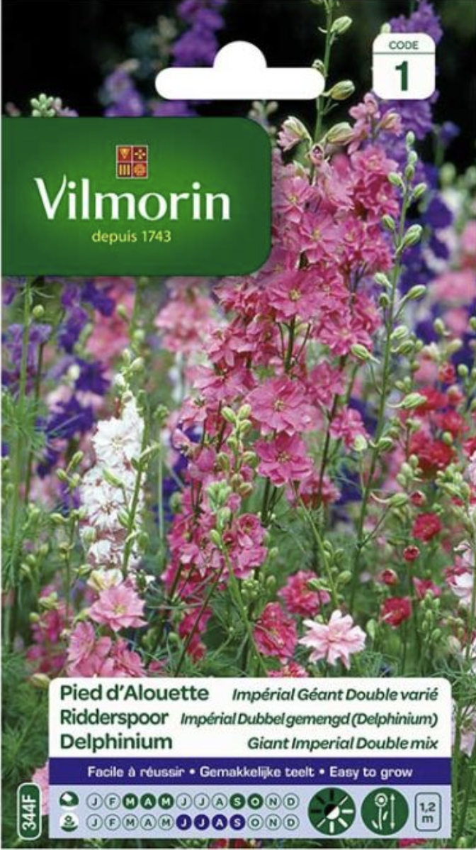 Delphinium