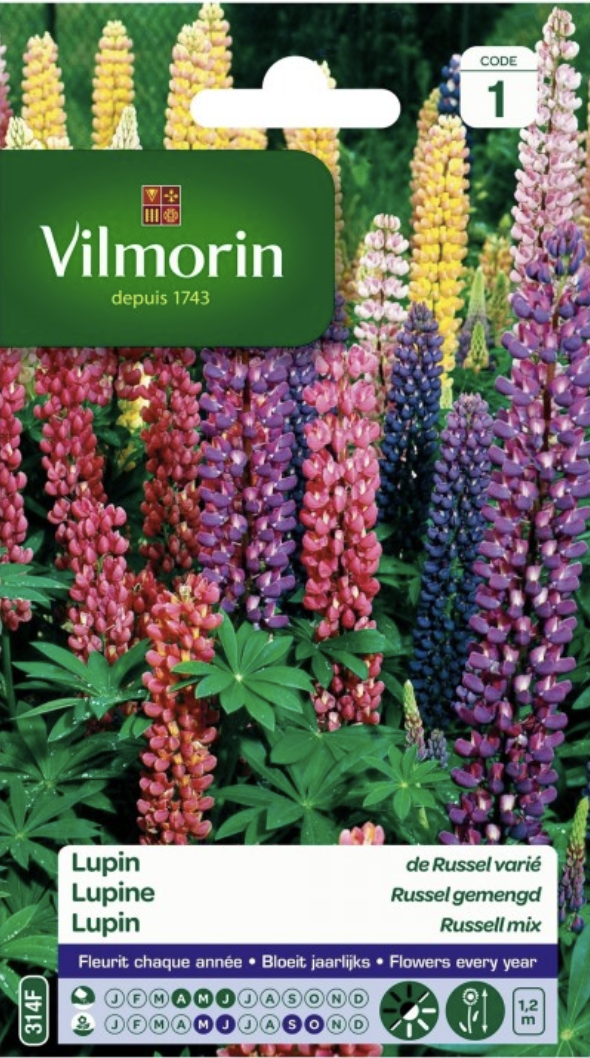 Lupin