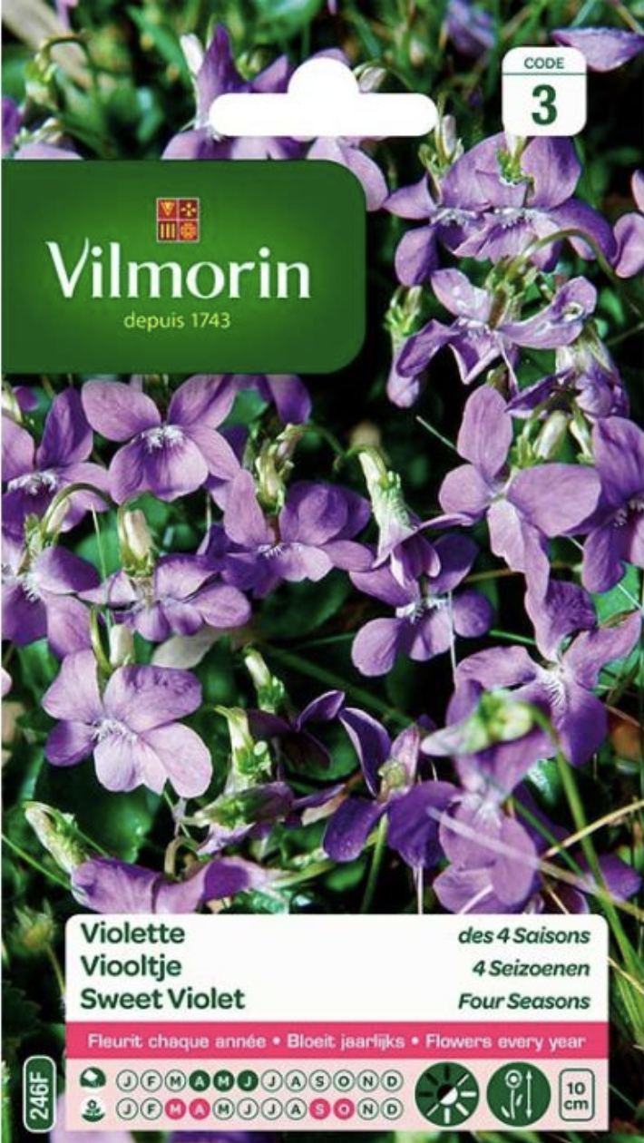 Sweet Violet