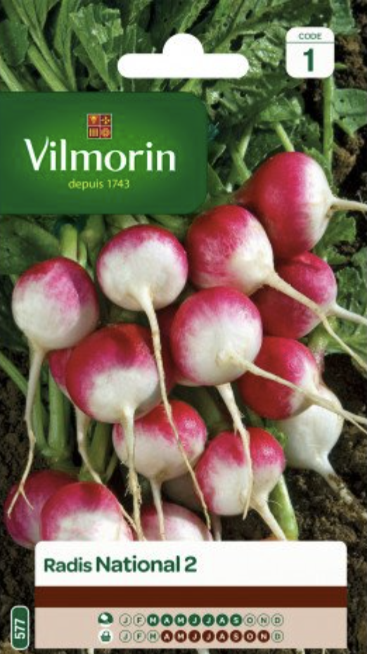 Radishes
