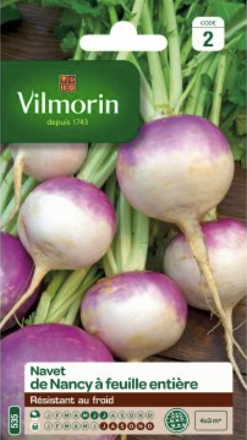 Turnip