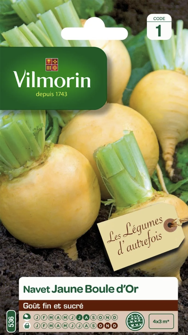 Turnip Jaune Boule D'or