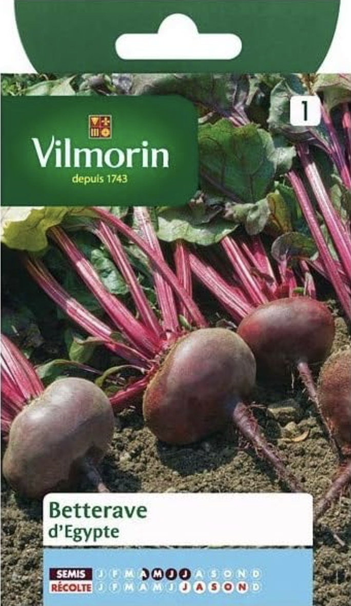 Egyptian Turnips