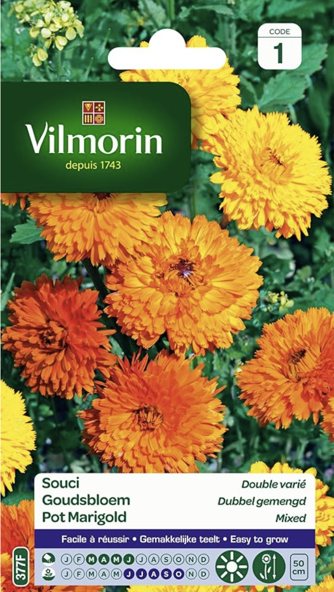 Pot Marigold