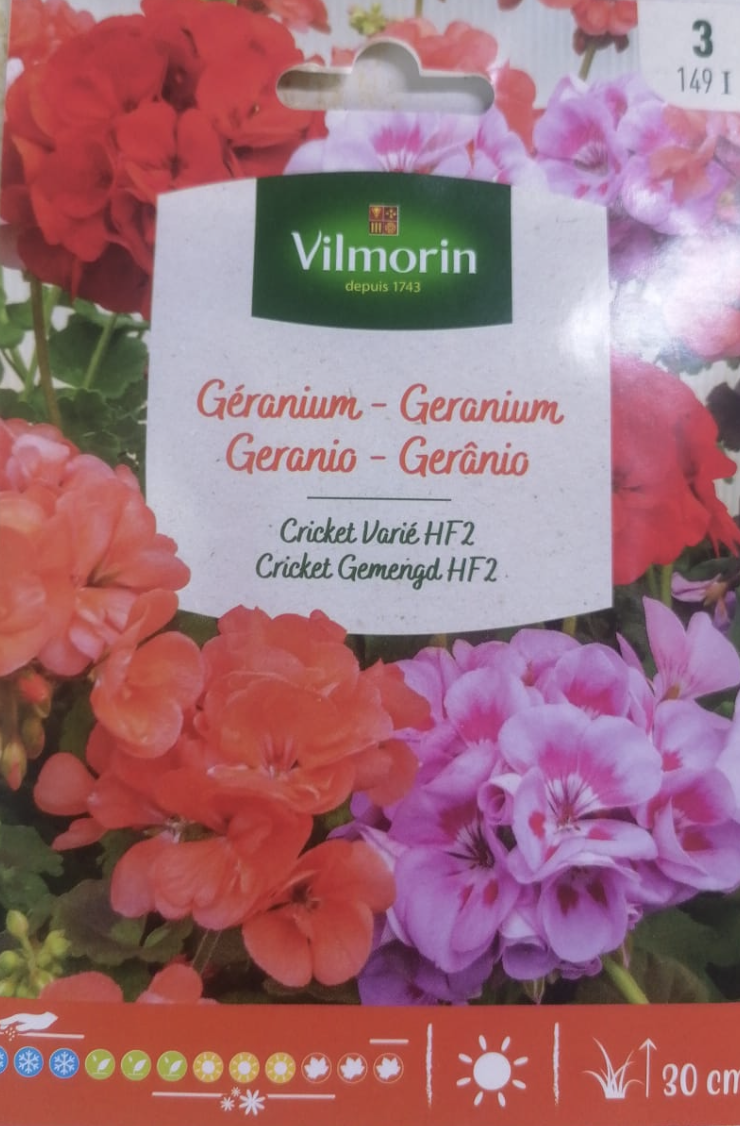 Geranium