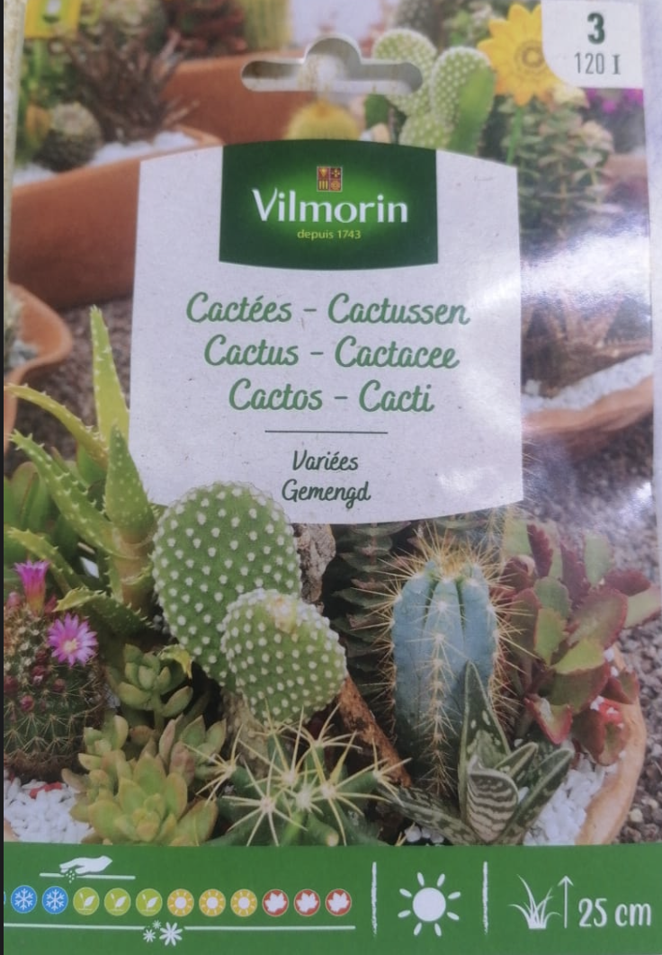 Cactus