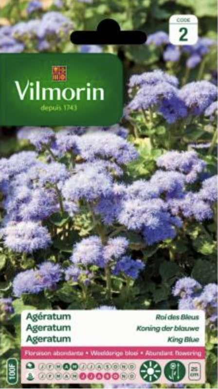 Ageratum