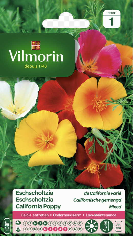 California Poppy