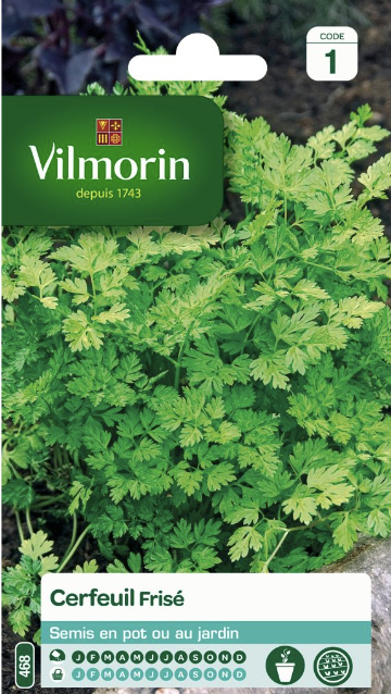 Chervil