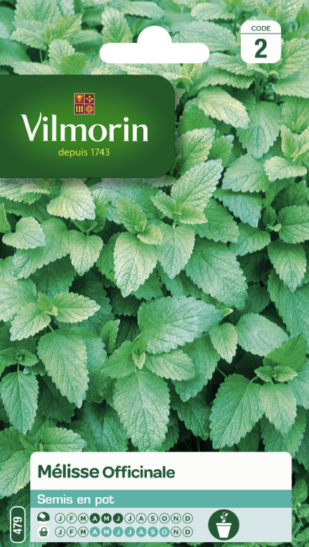 Lemon Balm