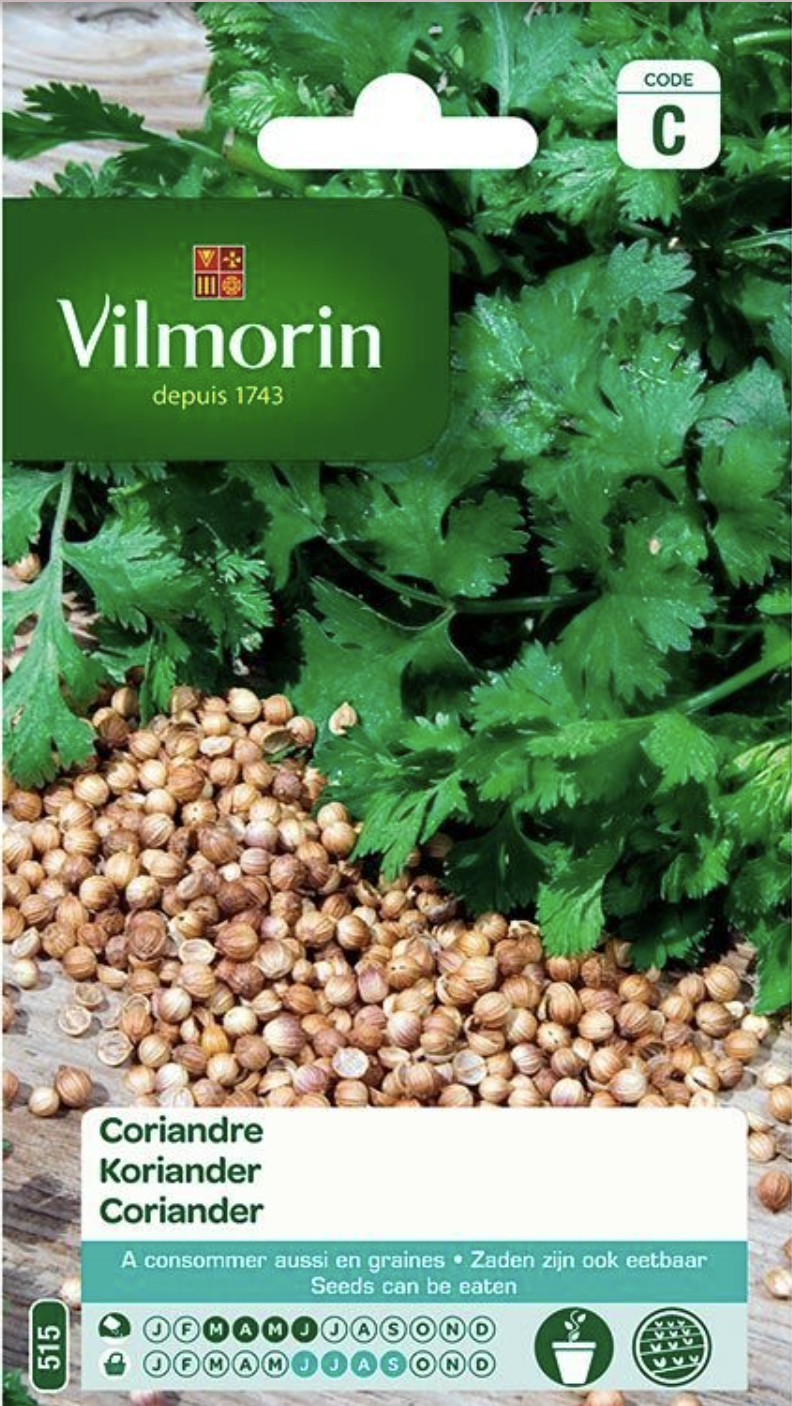 Coriander