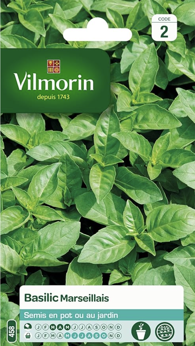 Basil