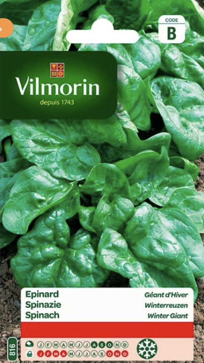 Spinach