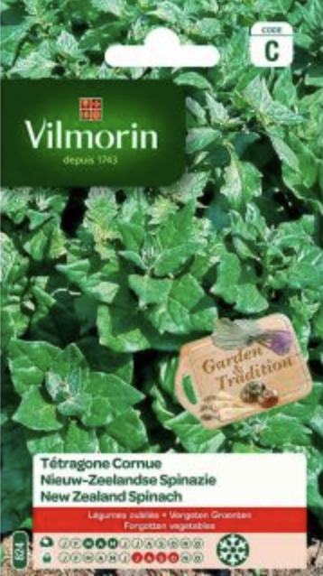 New Zealand Spinach
