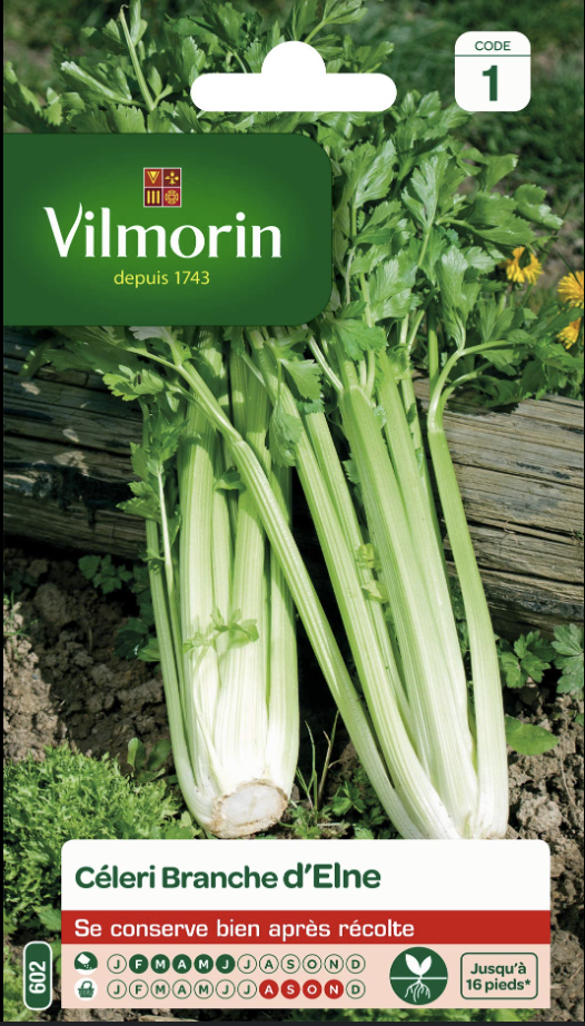 Celery