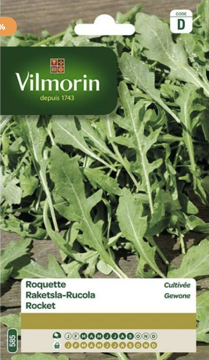 Rocket - Arugula