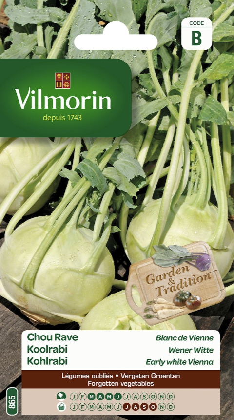 Kohlrabi