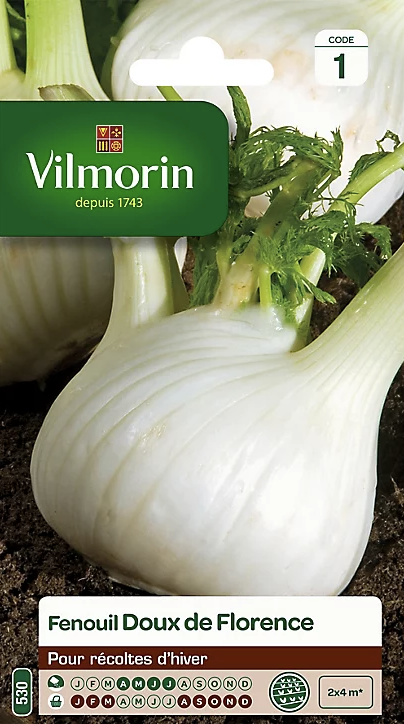 Fennel