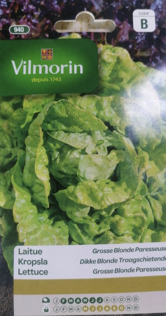 Lettuce