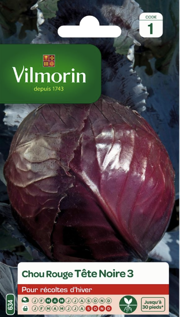Red Cabbage