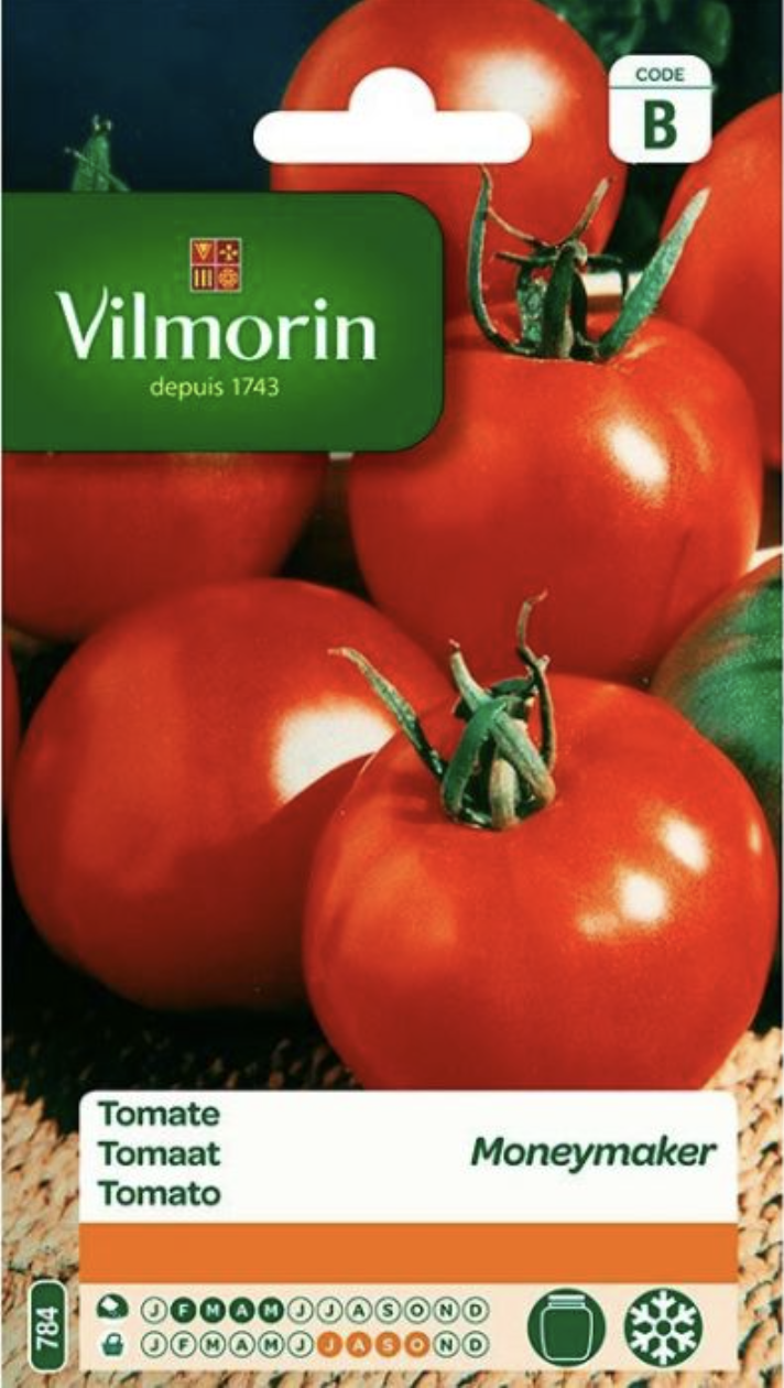 Tomato - Moneymaker