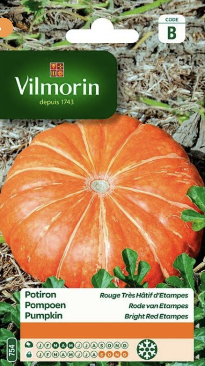 Pumpkin
