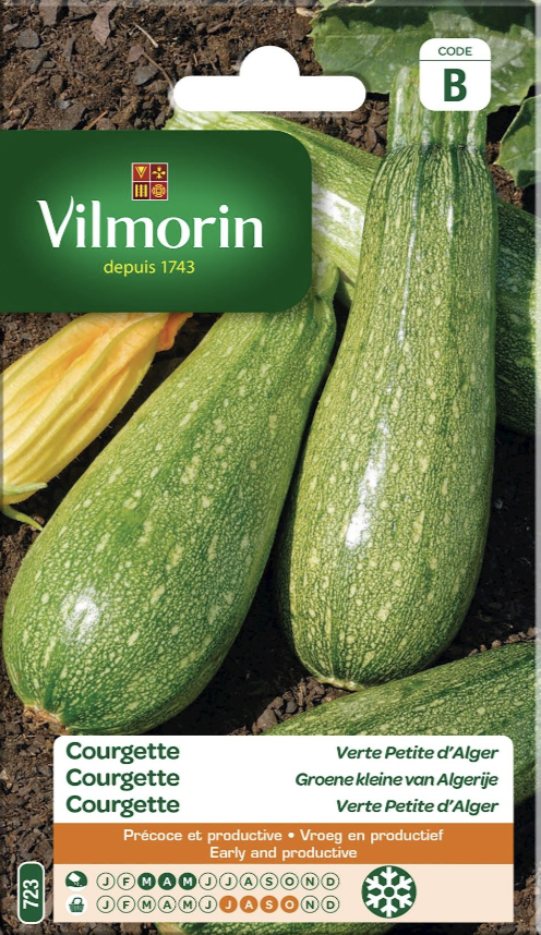 Courgette