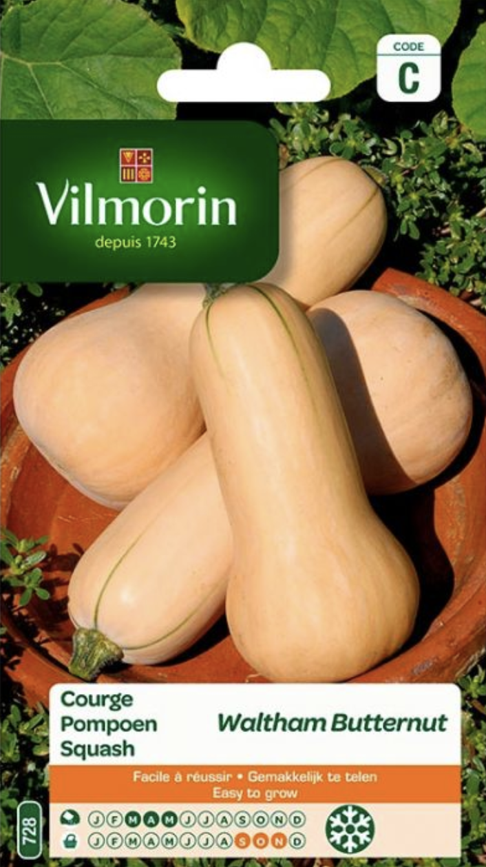 Squash Waltham Butternut