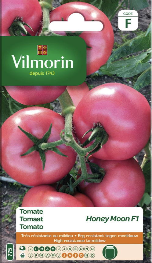 Honeymoon Tomato