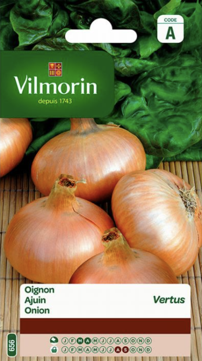 Onion