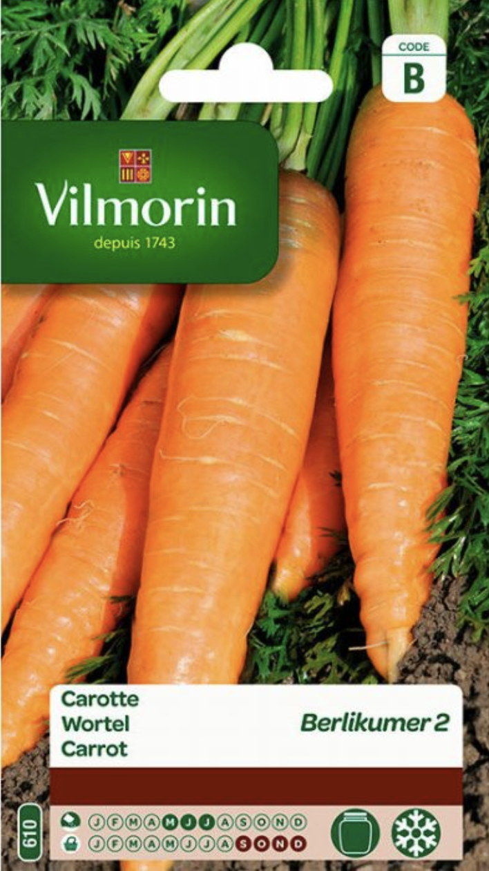 Carrot