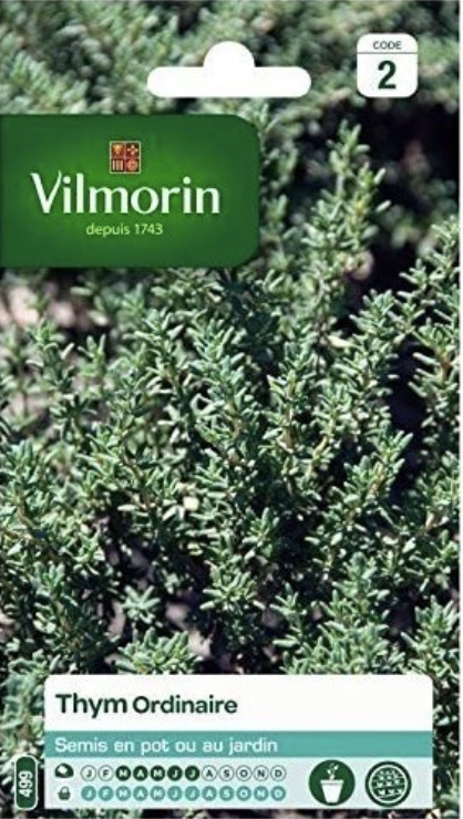 Thyme