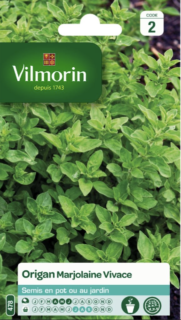 Oregano