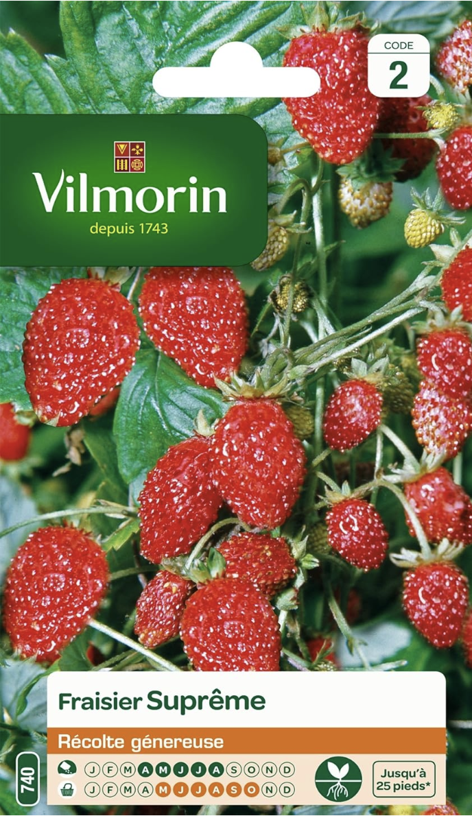 Strawberries