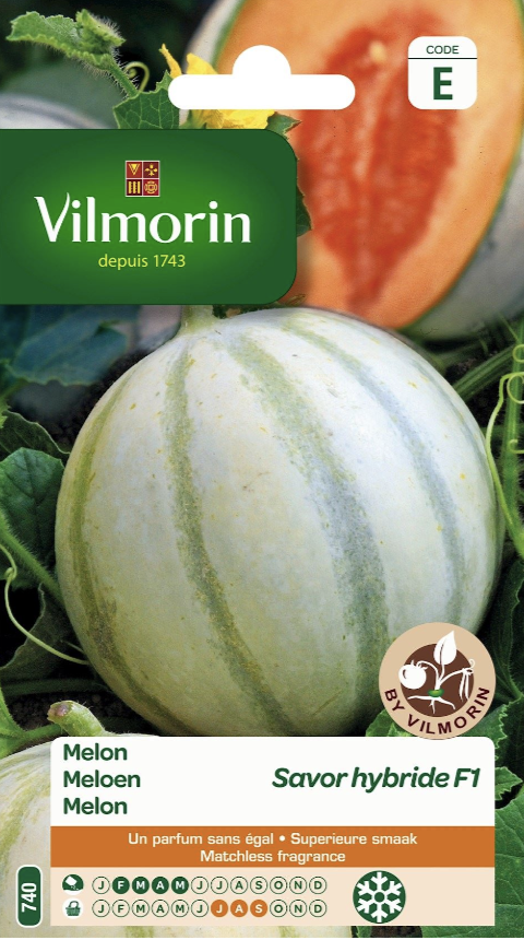 Melon