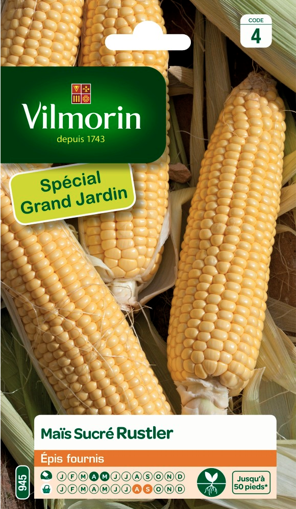 Sweet Corn
