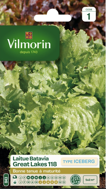 Lettuce Great Lakes