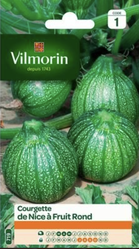 Courgette Round of Nice