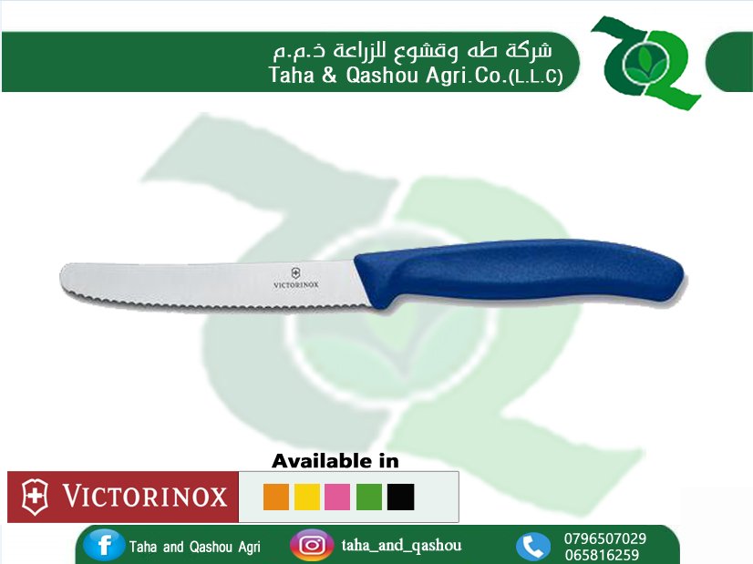 Swiss Classic 4.5" Serrated Utility Knife Blue by Victorinox
