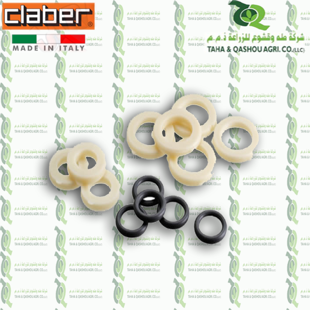 8811 O.ring and washer set
