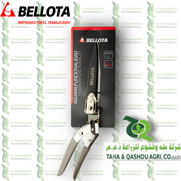 3555 Bellota Shear